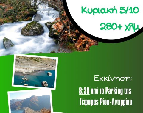 557091823_24778594291773839_1208494197967975655_n